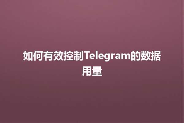 如何有效控制Telegram的数据用量📱💾